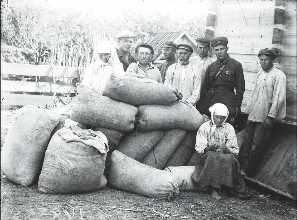 Коллективизация 1930 х. Коллективизация 1930 х
