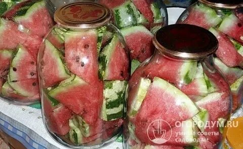 Рецепт бочковых арбузов целиком