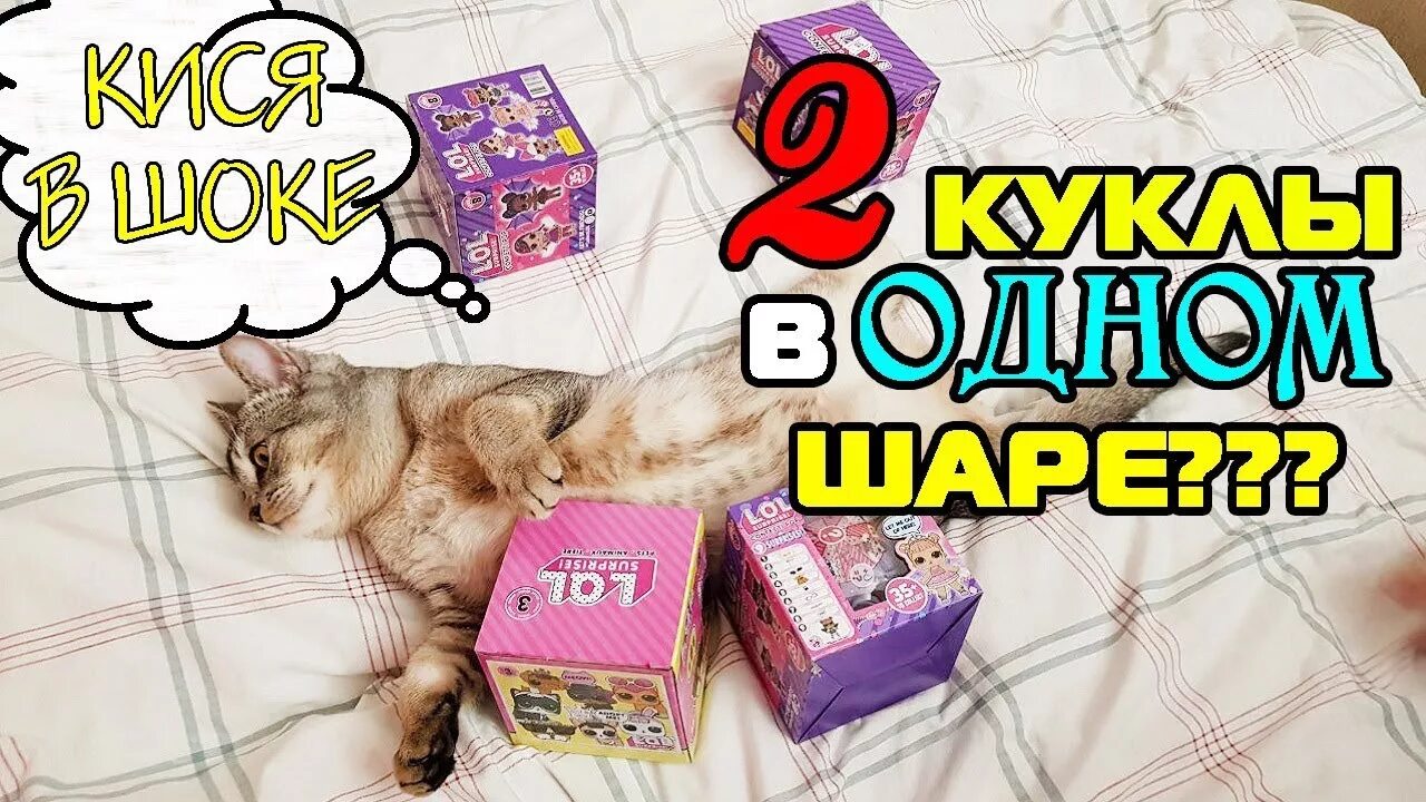 Ореша кевин сладун. Сладун. школа сладуна.
