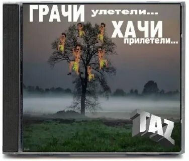 Грачи прилетели и офигели