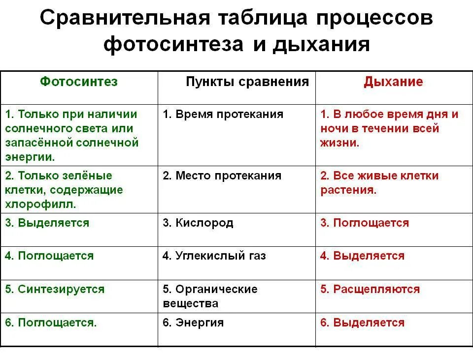 Таблица сравнение дыхания. Сравните процессы дыхания и фотосинтеза таблица. Время протекания фотосинтеза и дыхания таблица. Таблица сравнение процессов фотосинтеза и дыхания. Сравнительная таблица процессов фотосинтеза и дыхания.
