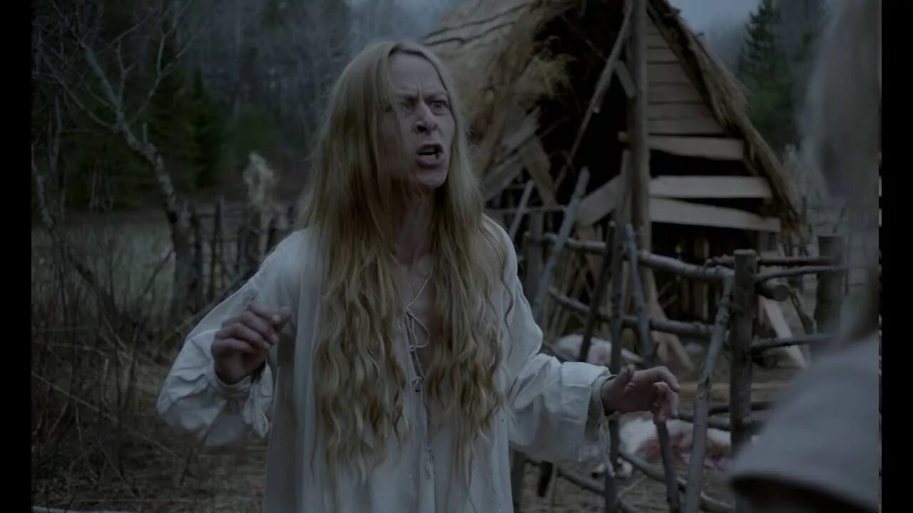 The witch is in. Батшеба гарнетт ведьма 2015. аня тейлор-джой ведьма. ани тейлор-джой «ведьма» (the witch, 2015).