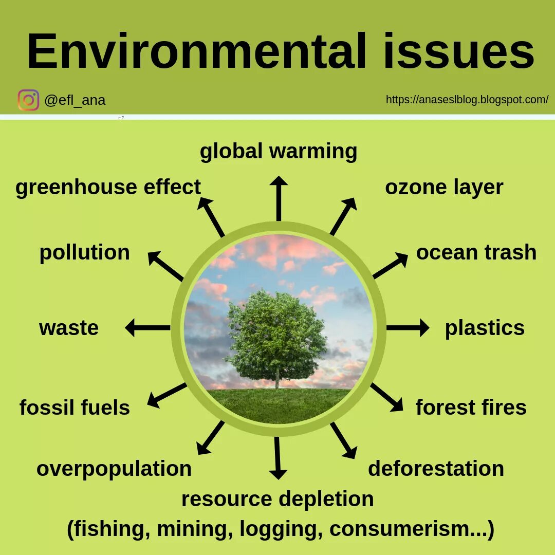 Month in the country. Environment тема по английскому. Environmental problem английский. Экология на английском. Environmental problems топик по английскому.