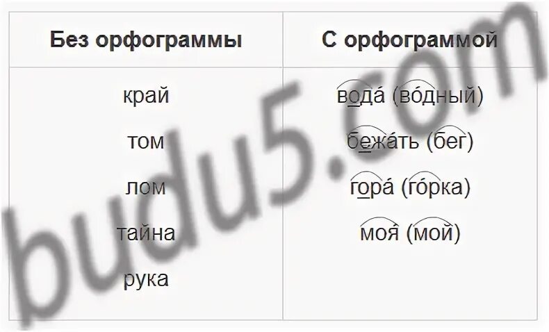 Русский язык 5 класс упр 56
