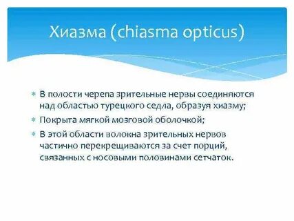 Хиазма это