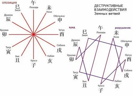 Небесная ветвь