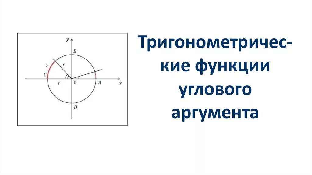 Функции углового аргумента. Тригонометрические функции углового аргумента. Тригонометрические функции числового и углового аргумента. Тригонометрические функции углового аргумента 10 класс. Аргумент тригонометрической функции.