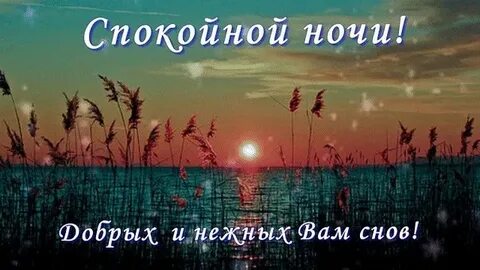 Спокойной ночи лета картинки с надписями красивые