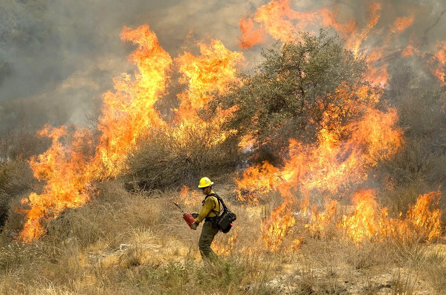 Войны пожары песня. Burn огонь. Burning Fire. Karl Fire Burn.