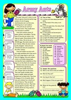 Reading task true false