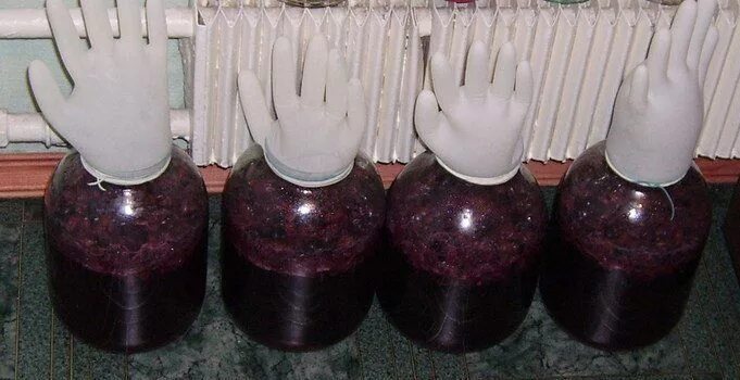 Вишневое вино. Вкус которого превосходит ожидания) Рай в деревне своими руками Д