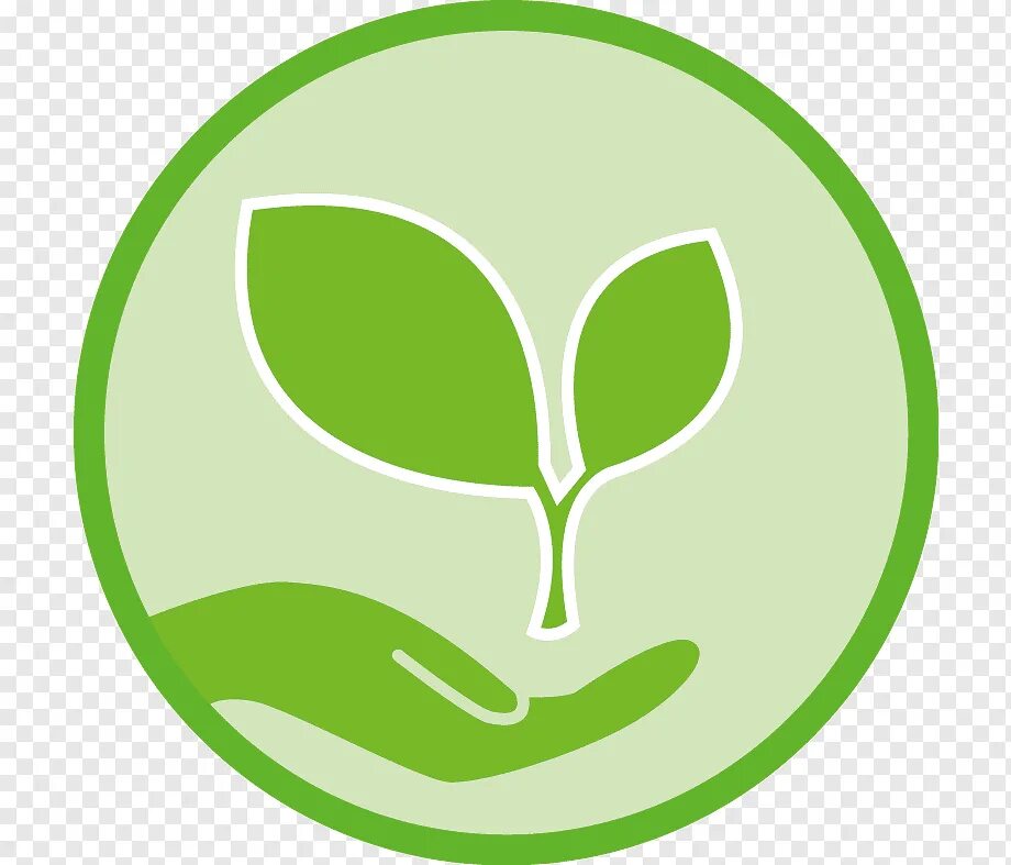 Галочка символ. Значок галочка. Green icon. Зеленый круг. Зеленый квадрат.