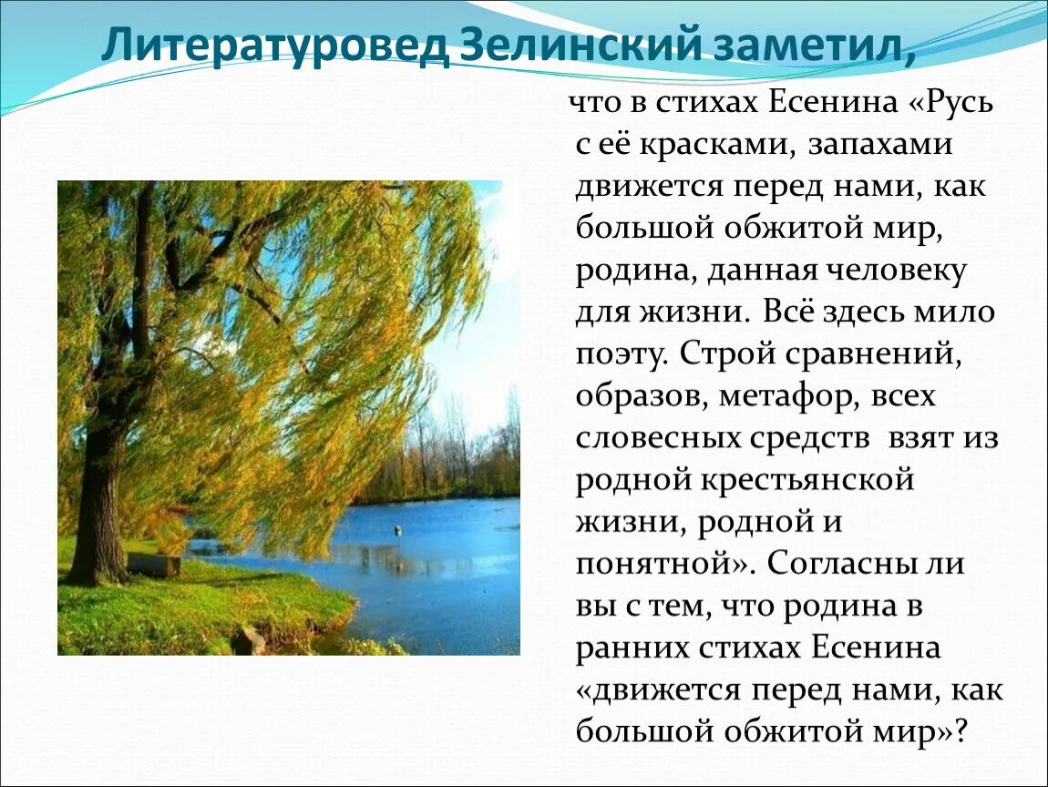 Запахи в стихотворениях есенина. Цвета в стихах есенина. Примеры изображения запахов в стихах есенина. Спас есенин. Стихи есенина.