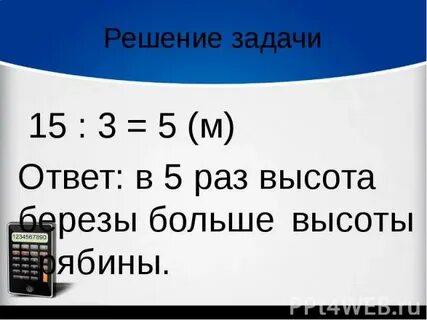 Высота березы 15м а рябины