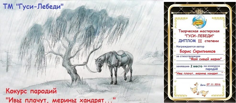 Глуп как сивый мерин. Сивый мерин. врет как сивый мерин. сивый мерин рисунок. врёт, как сивый мерин фразеологизм.