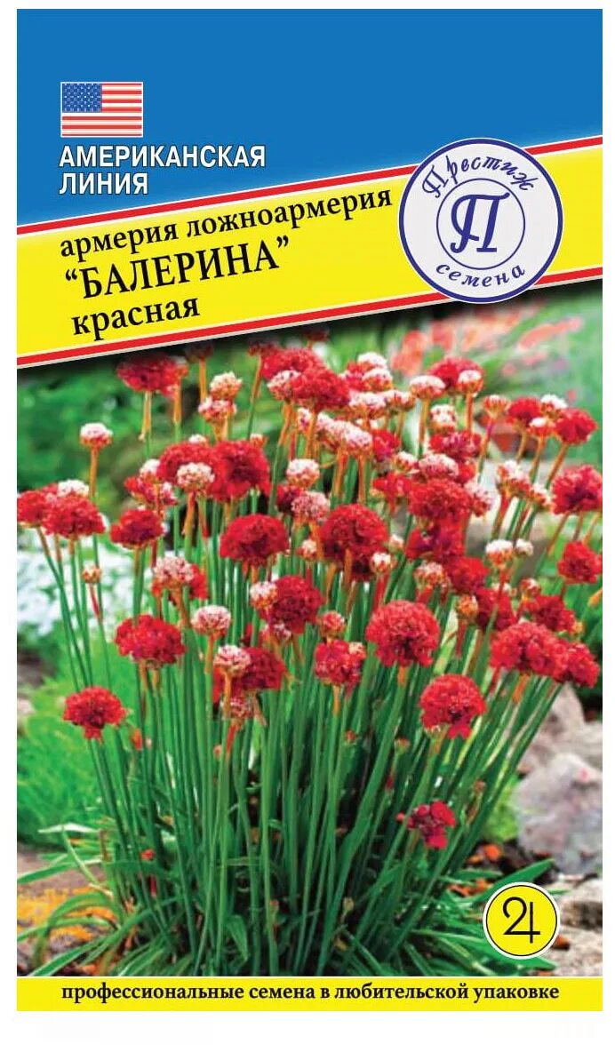 Армерия балерина красная. Армерия ложноармерия. Армерия семена. Армерия американская балерина. Армерия купить семена