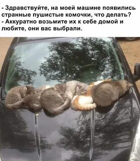 Аккуратно взял