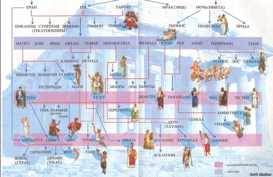 Боги рима и греции 5 класс история. Родословная (Пантеон) греческих богов. Древо богов древней Греции схема полная. Пантеон богов древней Греции схема. Боги древней Греции таблица Древо.