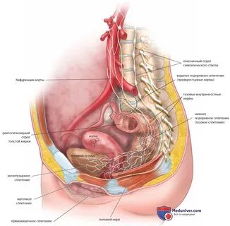 Таздың фотосы