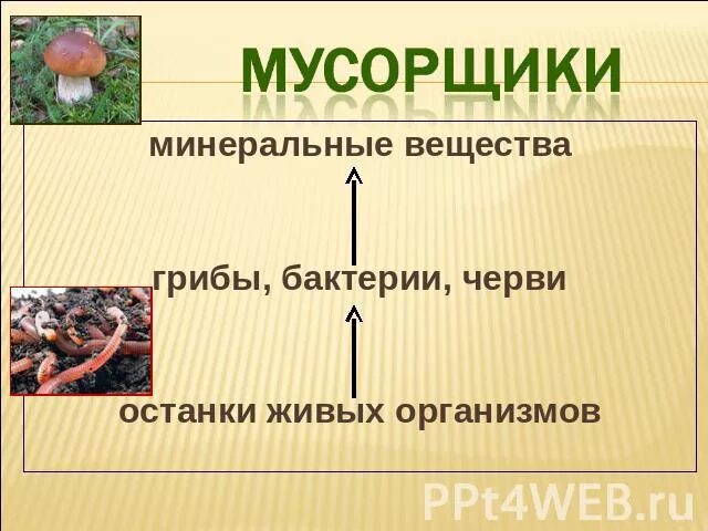 Растения разрушители