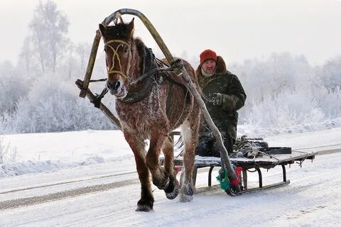 3 класс однажды в студеную зимнюю пору