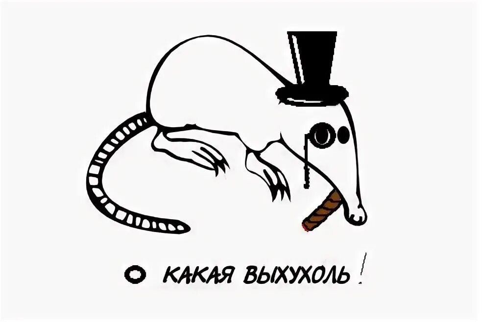 Анекдот ежик выхухоль. Выхухоль. выхухоль приколы. выхухоль мем. похухоль и нахухоль.