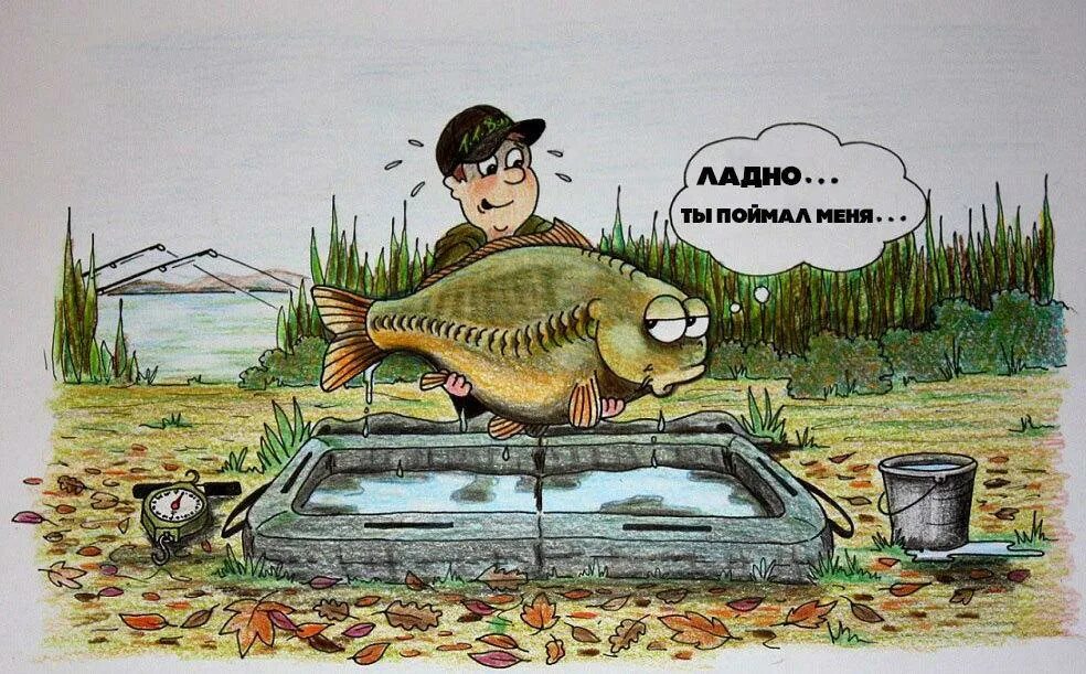 Клевать будет лучше