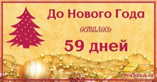 До нового года без выходных. 55 дней до нового года. скоро новый год осталось дней. до нового года 46 дней картинки. до нового года 59 дней.
