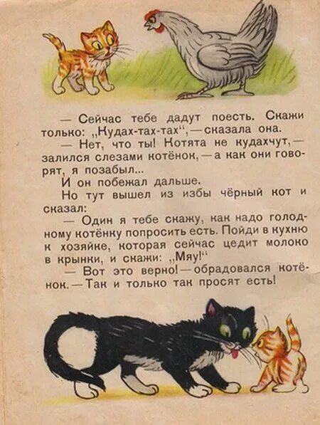 Про котиков читать. Рассказ котенок. сказка про котенка. сказка про маленького котенка. маленькие сказки про котиков.