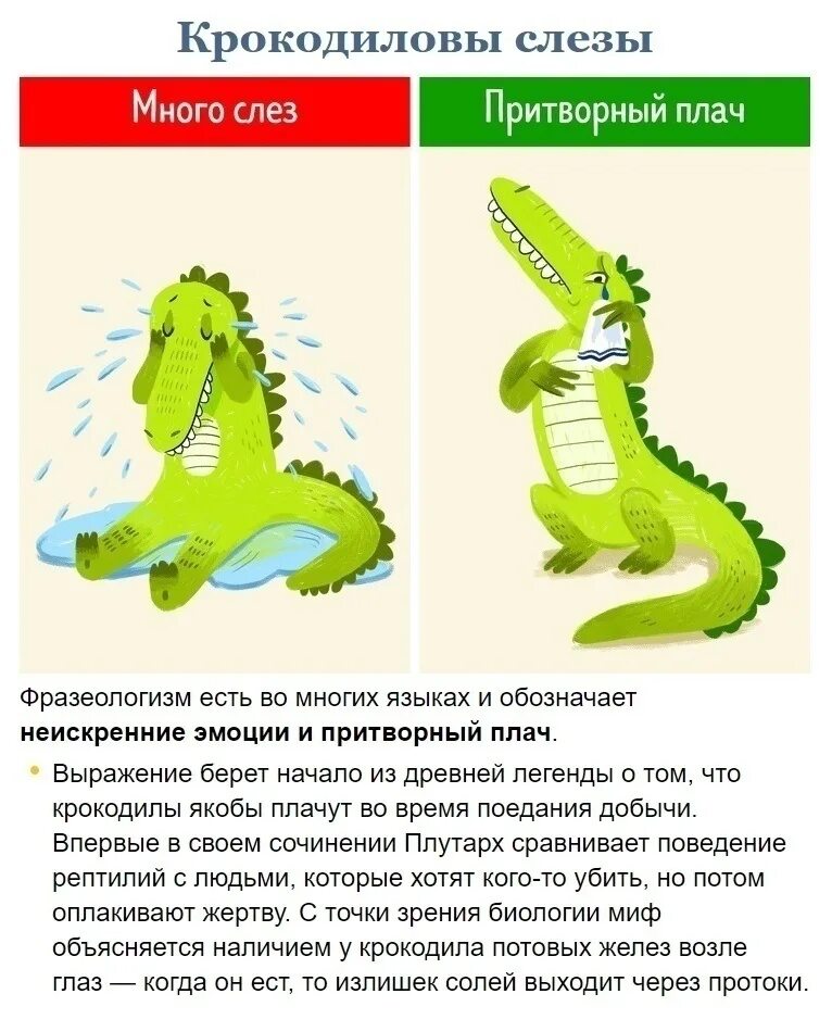 Впр выражение крокодиловы слезы 4 класс ответы. Фразеологизм крокодиловы слезы. крокодильи слезы фразеологизм. фразеологизм лить крокодиловы слезы. крокодиловы фразеологизм.