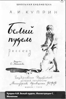 Белый пудель куприна 4