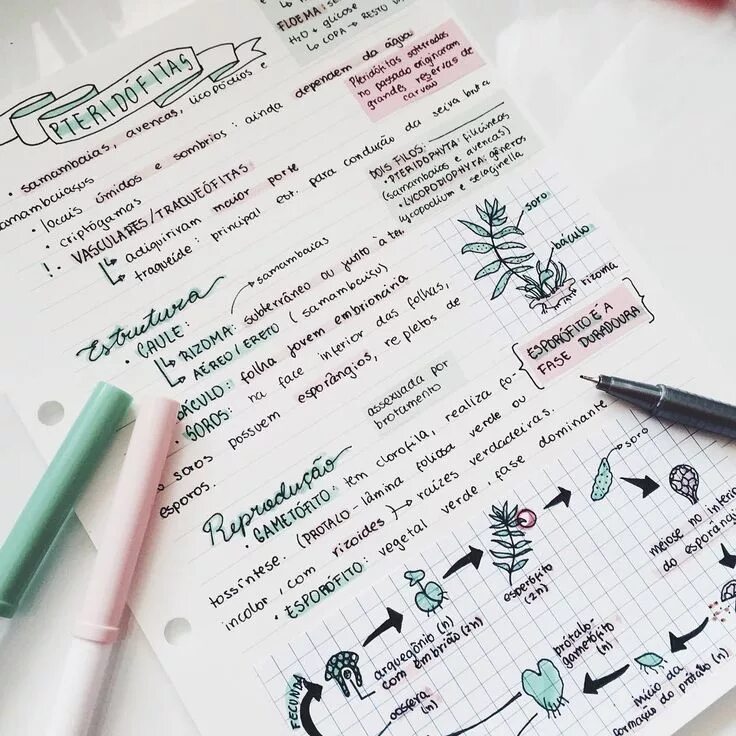 Pin de Mtowers en Notebook ideas Bullet journal doodles, Titulos bonitos para ap