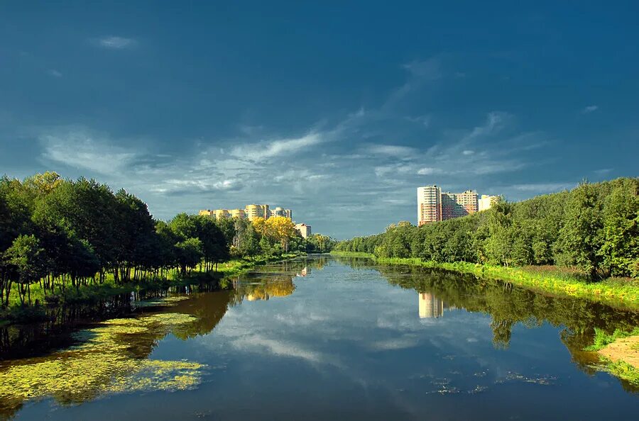 Подмосковный город в честь реки. Река Серебрянка в Пушкино. Пушкино Московская область река Серебрянка. Речка Серебрянка в Пушкино. Пушкино Серебрянка реаа.