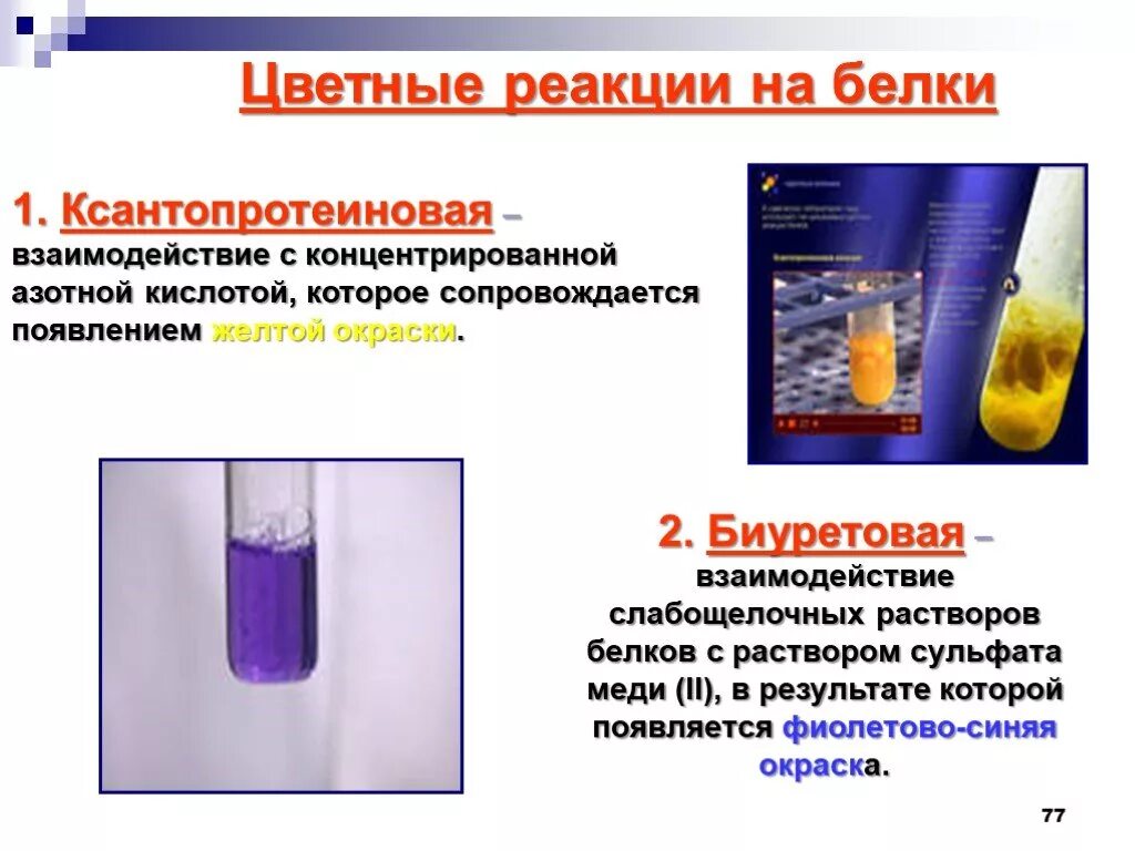 Химические свойства белков цветные реакции ксантопротеиновая. Качественные реакции на белок биуретовая и ксантопротеиновая. Цветные реакции белков с азотной кислотой. Качественная реакция на белок с азотной кислотой. Реакция взаимодействия калия с концентрированной азотной кислотой