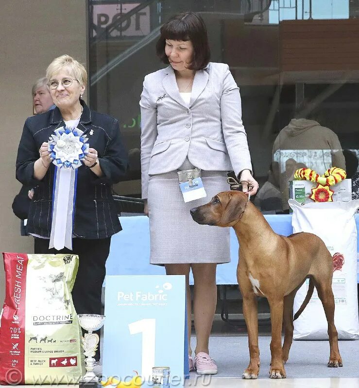 зоокурьер выставки собак в санкт петербурге 2024