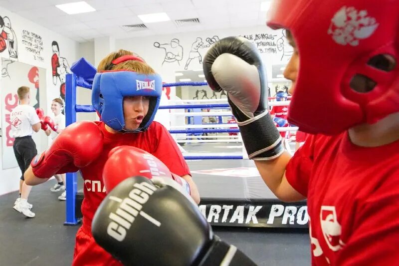 бокс люберцы. детские соревнования по боксу в люберцах 2021.