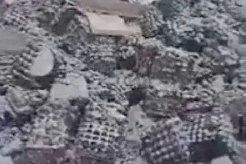 Свалка яиц в омске