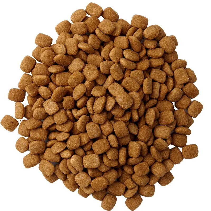 котячий корм. сухие корма для собак. корм. сухой корм. гранулированный корм для собак.