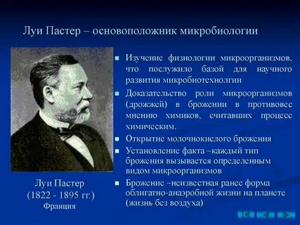 Луи пастер научные открытия