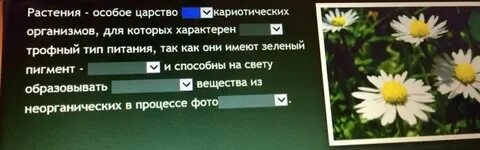 День благодарности растениям