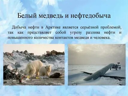 Проблемы белых