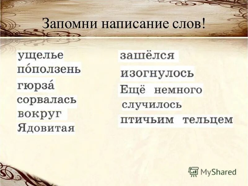 изложение поползень. в ущелье гор тревога. изложение храбрая птичка. изложение птенец 4 класс. изложение поползень.