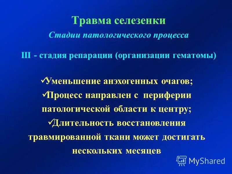 Инфекция селезенки