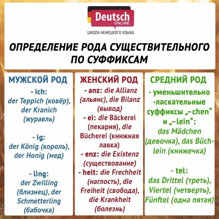 Суффиксы женского рода в немецком. Суффиксы имени существительного в немецком языке. Существительные среднего рода в немецком языке. Средний род существительных в немецком языке. Существительные женского рода в немецком языке.
