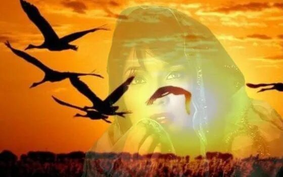 Стихотворения о российских женщинах. Женщины россии стихи. Вдовы россии пономаренко. Не будите журавли вдов текст. Стихи о вдовах россии.