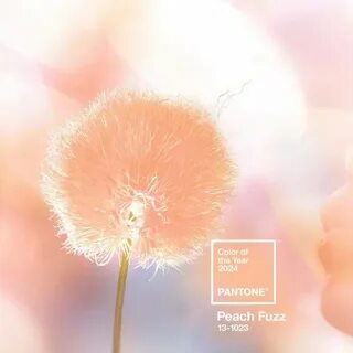 Pantone 2024