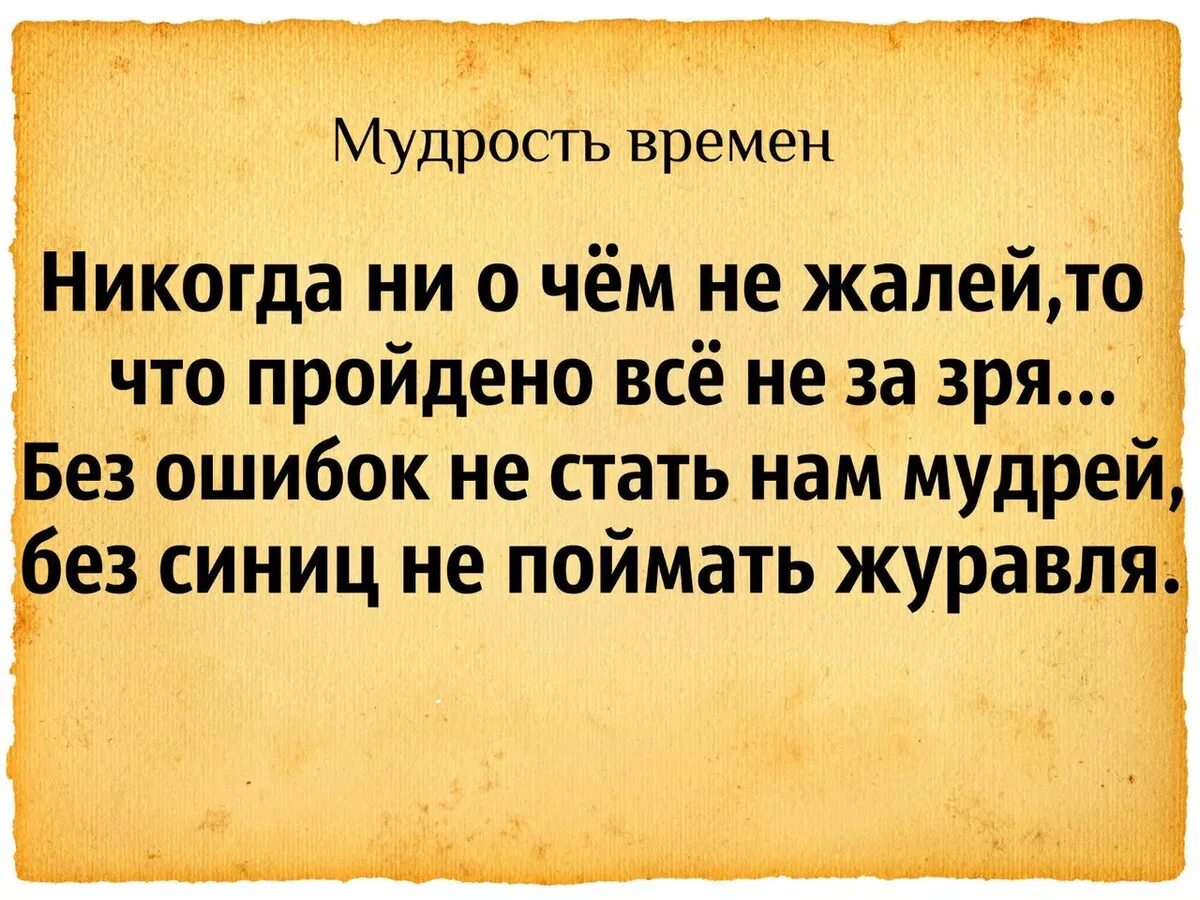 Зачем мудрость. Мудрые высказывания. цитаты мудрецов. афоризмы про мудрость. мудрость цитаты.