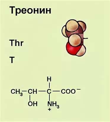 Треонин аминокислота формула. Треонин структурная формула. Треонин строение. Треонин молекулярная формула. Треонин это