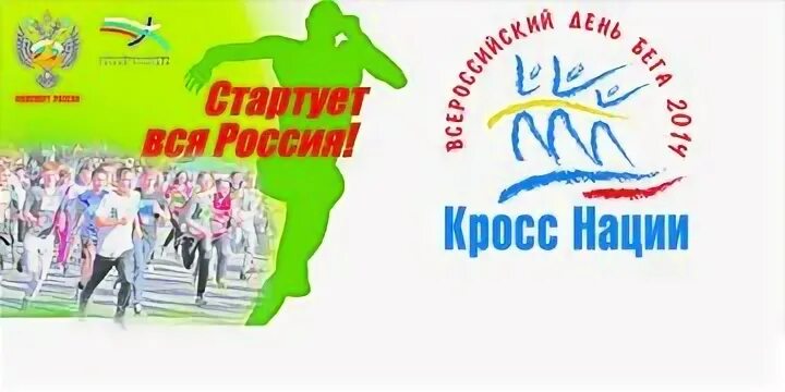 Кросс нации 2024 киров