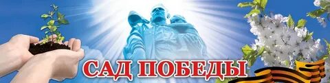 Картинка сад победы